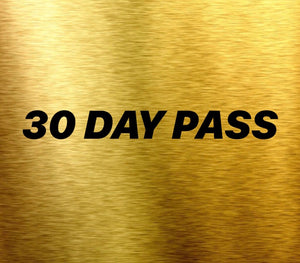 30 DAY PREMIUM PASS