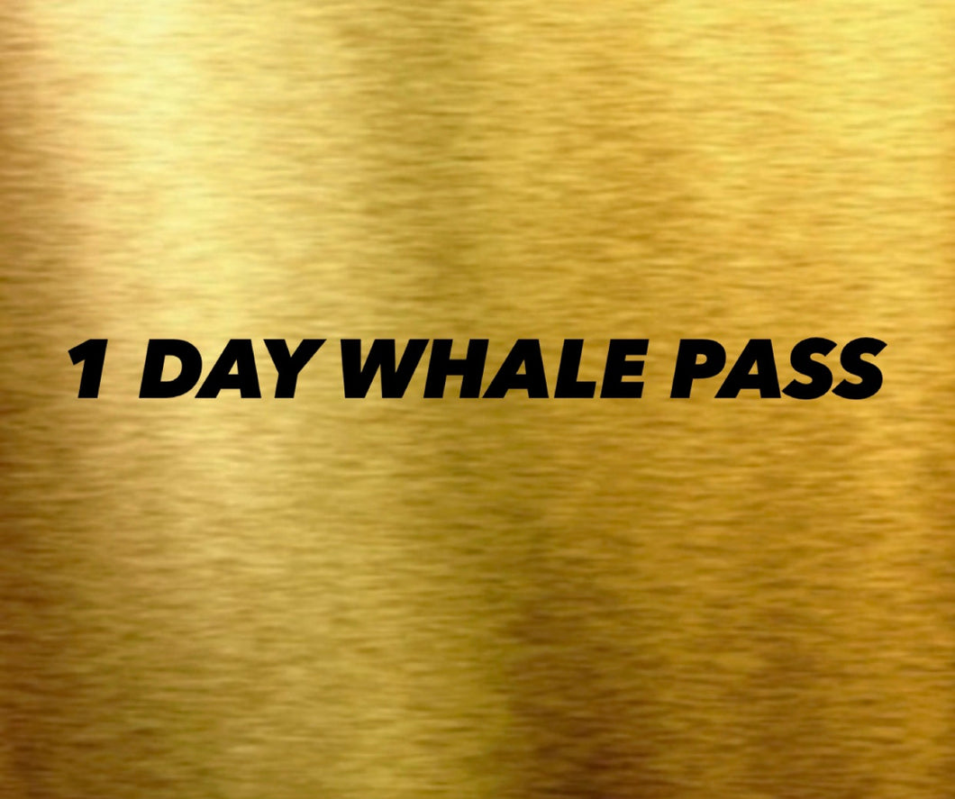 1 DAY VIP WHALE PASS